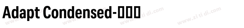 Adapt Condensed字体转换